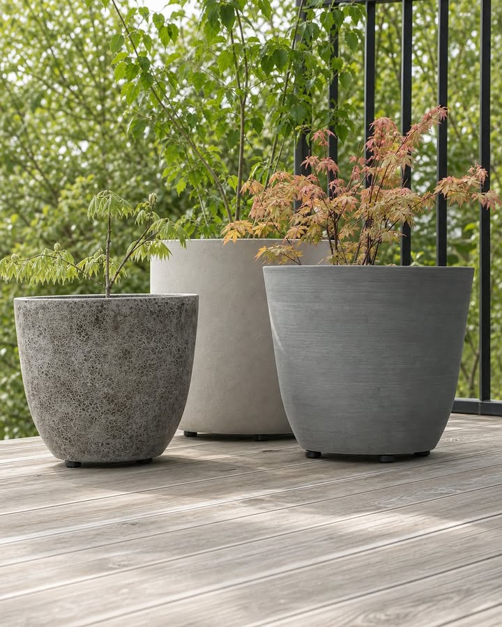 Three planters with green foliage on a wooden deck